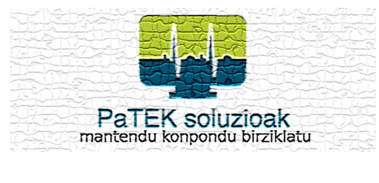 Patek Soluzioak